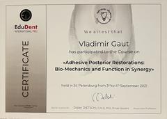 Geneva Smile Center. Adhesive postetior restorations, bio-mechanics and function in synergy, 2021