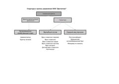 Структура компании
