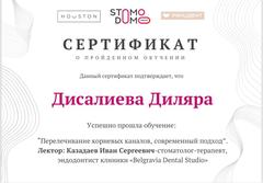 Дисалиева перелечивание корневых каналов